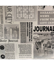 Journal Quotidien