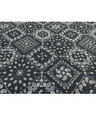 Paisley