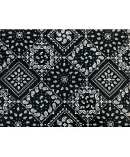 Paisley