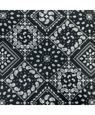 Paisley