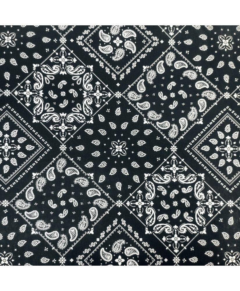 Paisley