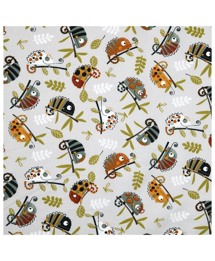 Coupon-Pascal-1m60 x 1m40