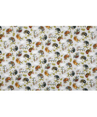 Coupon-Pascal-1m60 x 1m40