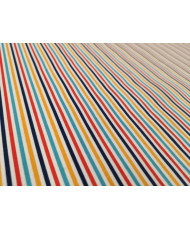 Stripe