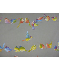 Happy Birds