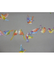 Happy Birds