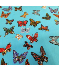 Coupon Vol de papillons
