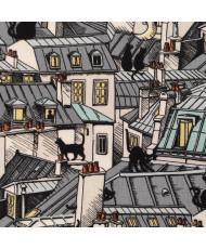 Catclub