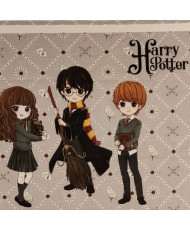 Calendrier de l'avent- Harry Potter