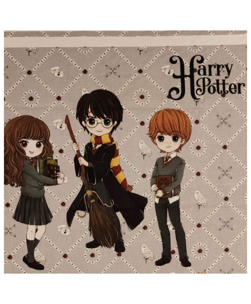 Calendrier de l'Avent Harry Potter