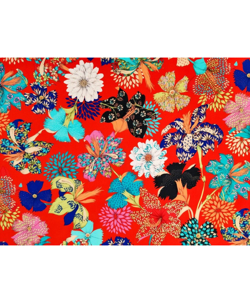 Kimono Kimono