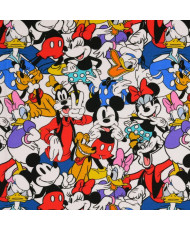 Jersey Mickey Mouse & Friends