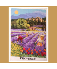 Torchon coton - Récolte de...