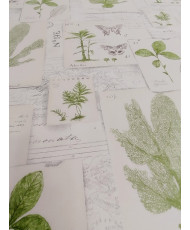 Herbier Envolé