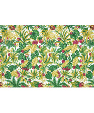 Papaye Toile enduite