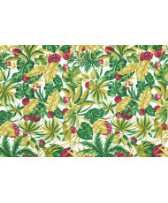 Papaye Toile enduite