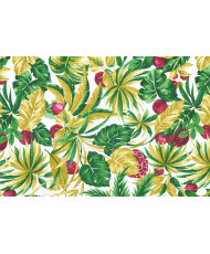 Papaye Toile enduite