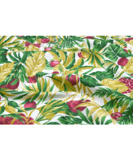 Papaye Toile enduite