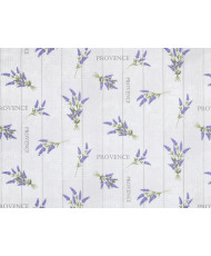 Toile Coton enduit PAGNOL