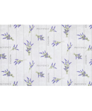 Toile Coton enduit PAGNOL
