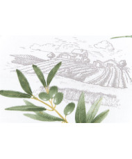 Toile coton enduite PROVENCE