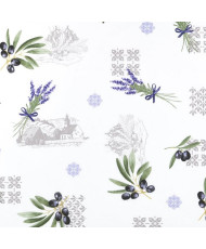 Toile coton enduite PROVENCE