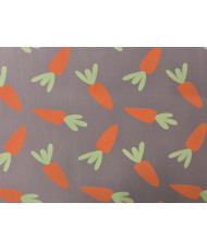 Jersey Carrots dusty