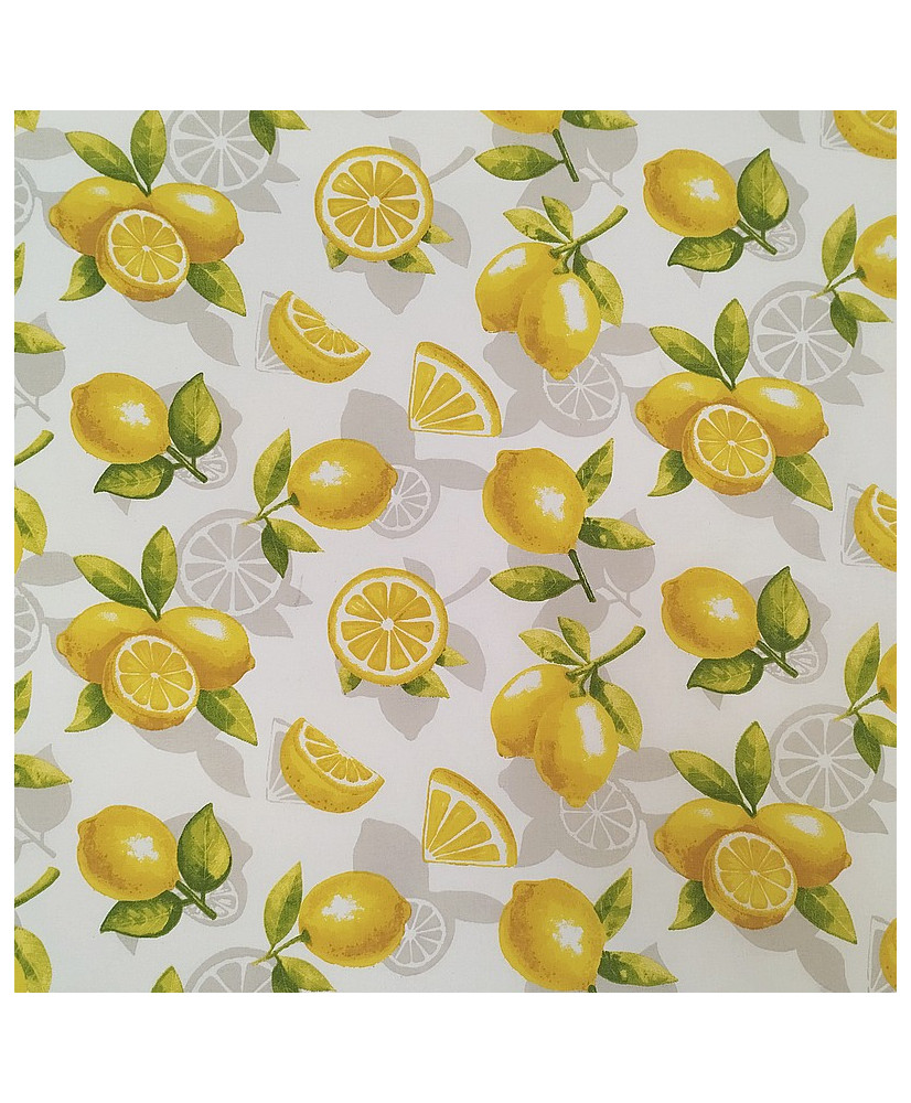 Menton-Cretonne-150 cm de large