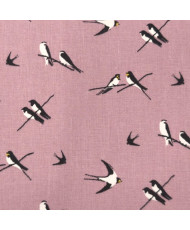 copy of Hirondelle