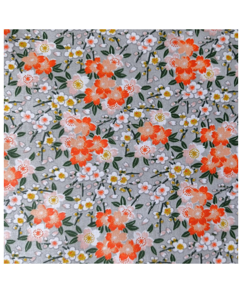 Toile coton enduite Chichi
