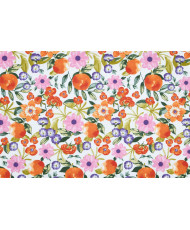 Toile de coton enduite - Melocoton
