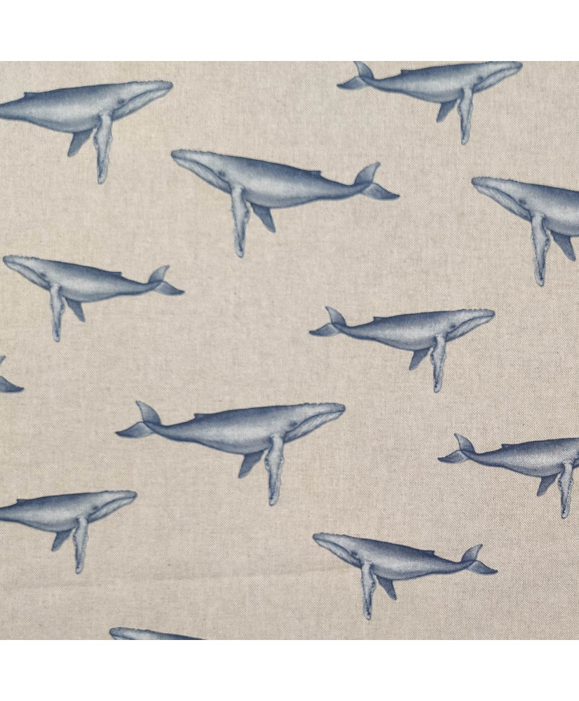 Baleine bleue Baleine bleue