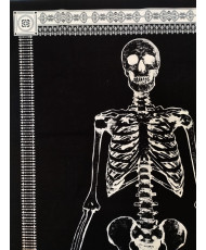 Panneau squelettes 60 x 110 cm
