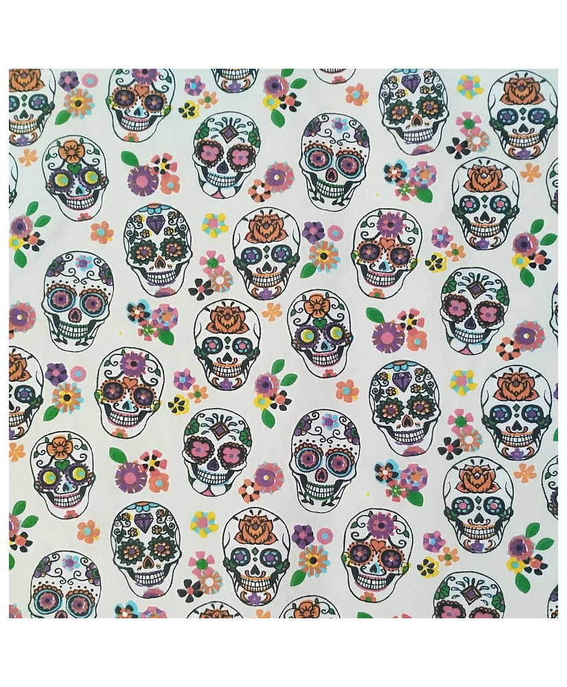 Cretonne- Calavera fond banc cassé