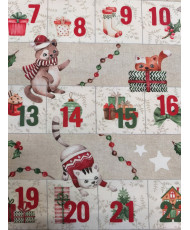 Calendrier de l'avent- Christmas Cat