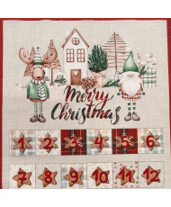 Calendrier de l'avent- Noël Insolite