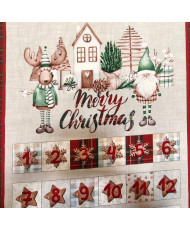 Calendrier de l'avent- Noël Insolite