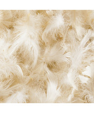 1/2 duvet d'oie / canard blanc