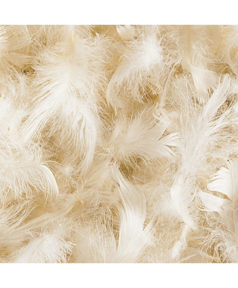 1/2 duvet d'oie / canard blanc