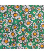 copy of Pâquerette enduit