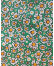 copy of Pâquerette enduit