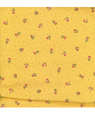 Coupon 2 m50  Beaucaire...