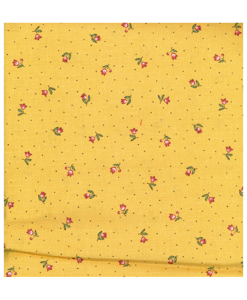 Coupon 2 m50  Beaucaire Semis Jaune