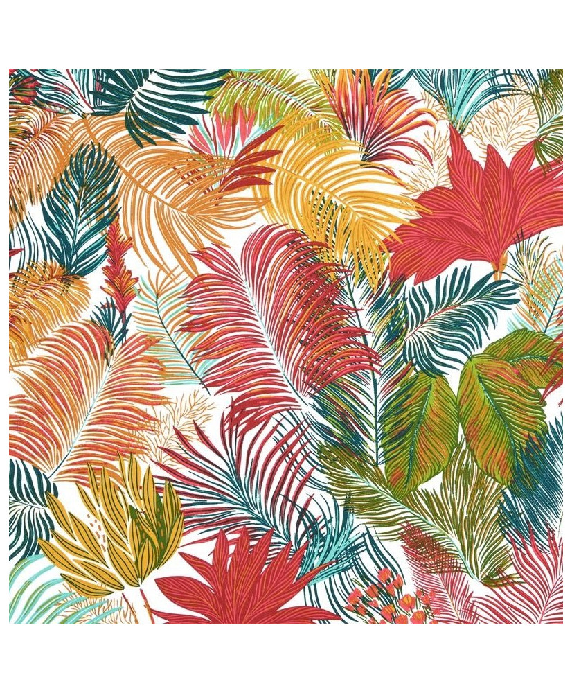 Coton enduit Macouba