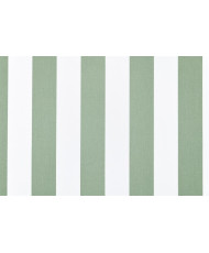 Tissu serge de coton enduit canadienne sauge