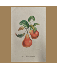 Torchon en coton avec illustration botanique de poires fabriqué en France.