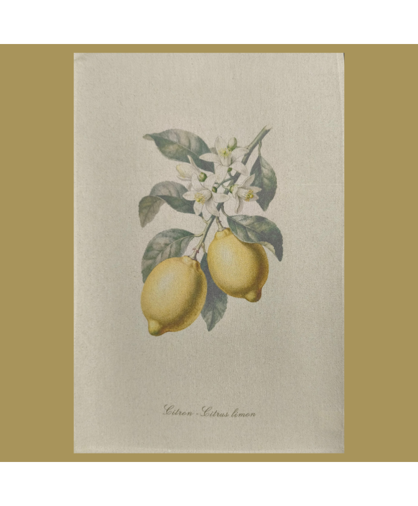 Torchon 100% coton-Citron d'antan