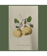 copy of Torchon poire d'antan