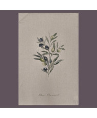 Torchon 100% Coton Provence olivier Vintage – Fabriqué en France