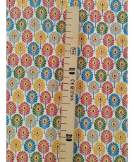 Mini Plume de Paon Multico